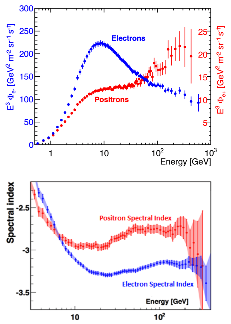 New results from the Alpha Spectrometer on the International